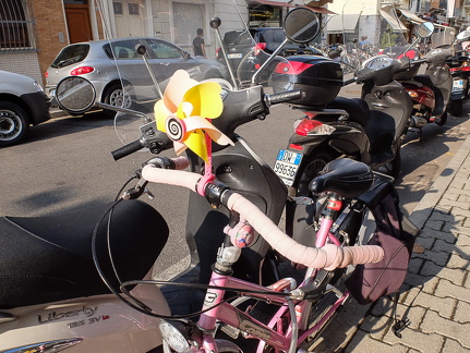 fahrrad 19